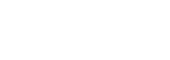 305 International